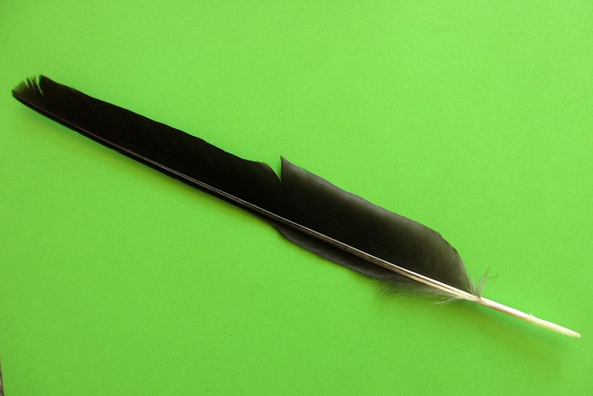 How to make a feather pen Magical Daydream